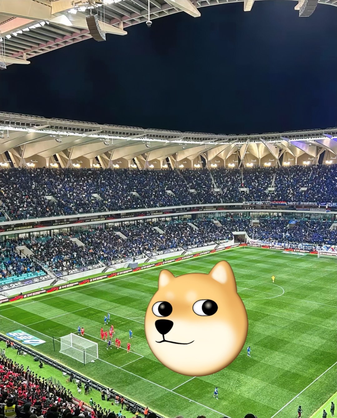 ayx sports 官方网站穆古鲁扎重返赛场，比赛规则变更首场状态出色，日本队观众沸腾！赛场气氛高涨的简单介绍